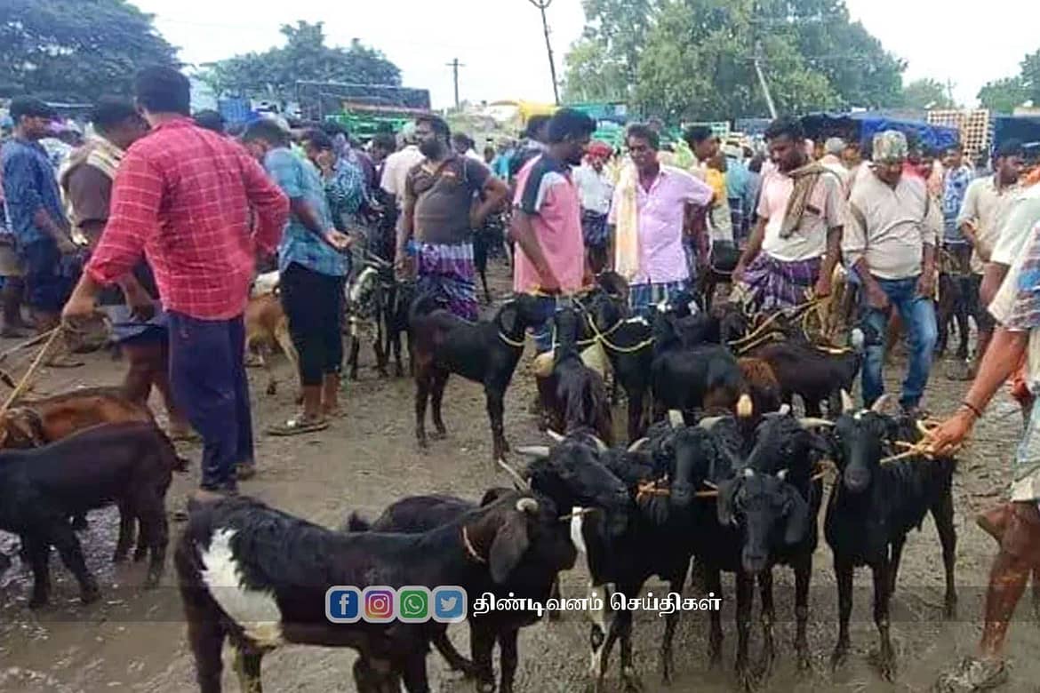 five-crores-goat-sale-at-gingee-weekly-market