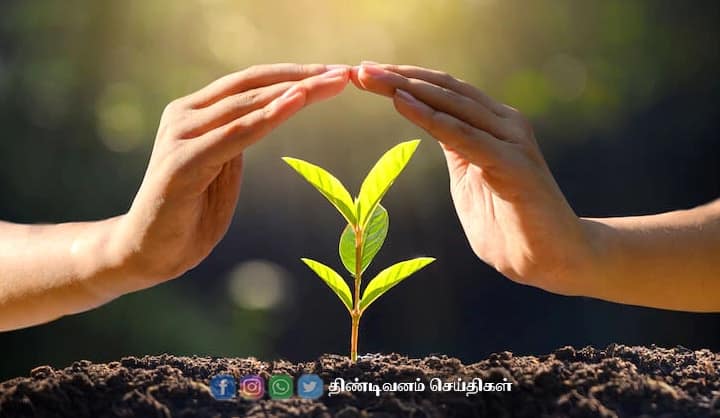 importance of saving trees