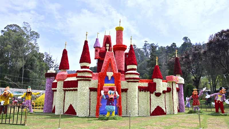 ஊட்டியில் டிஸ்னி வேர்ல்டு - தாவரவியல் பூங்கா மலர் கண்காட்சி 4 ooty disney world in flowers photo